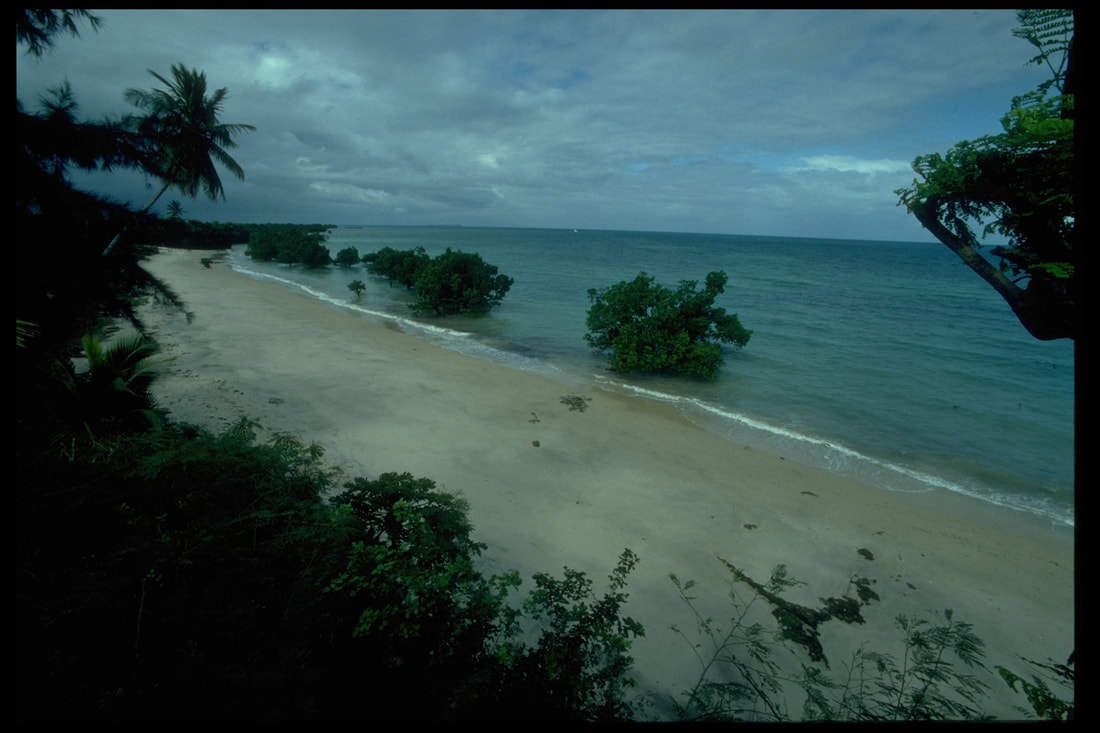 Strand in der nähe von Sansibar City, Sansibar, Tanzania